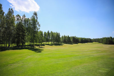 Trees on field against sky