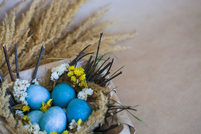 High angle view of eggs in nest