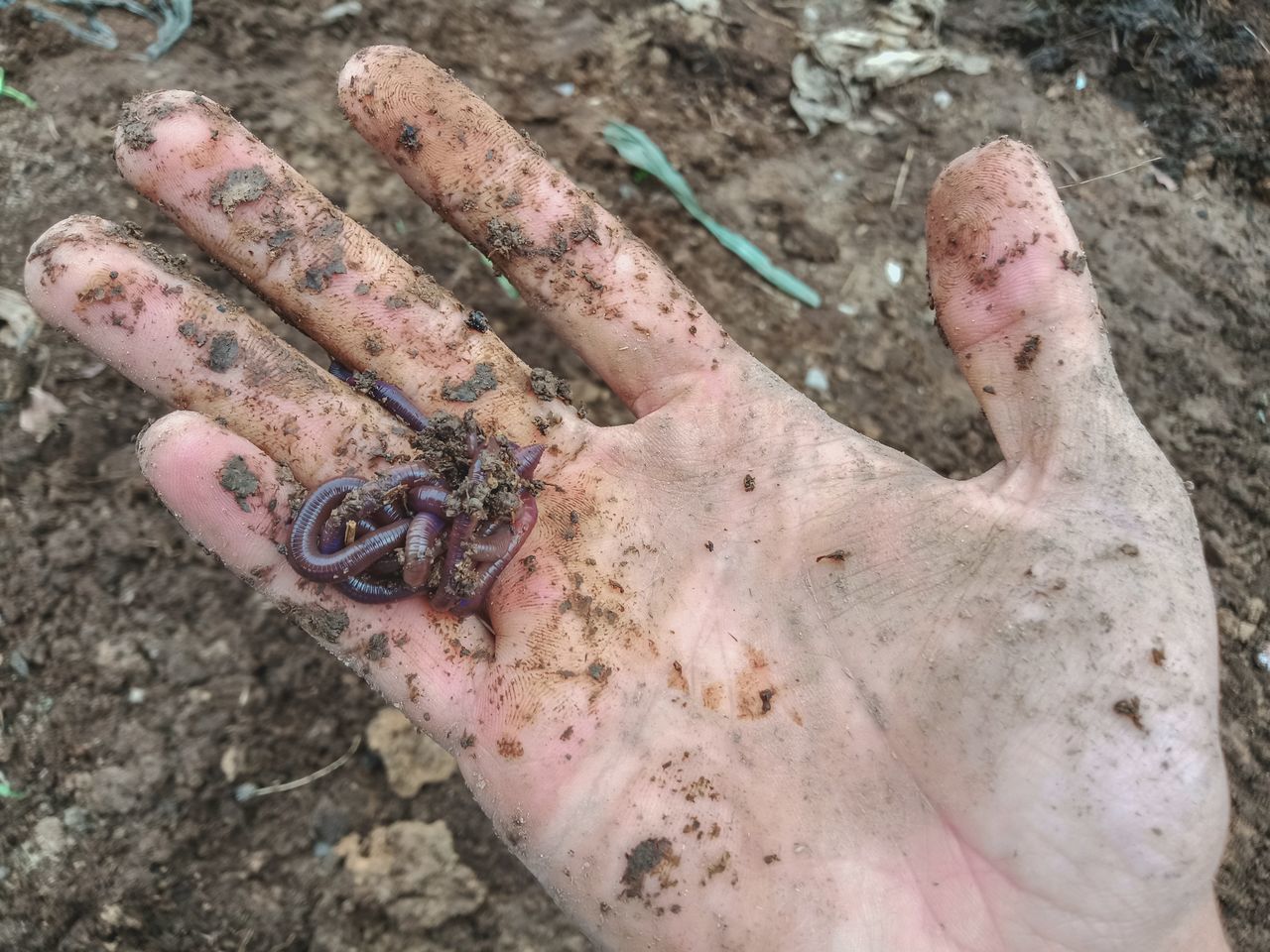 HIGH ANGLE VIEW OF HUMAN HAND ON MUD