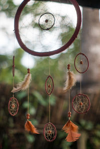 Close-up of feather hanging