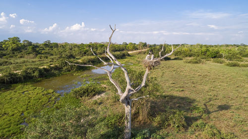 Scenic view of field against sky