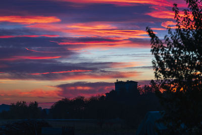 Silhouette trees against orange sky during sunset