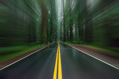 Selective blur wet road with yellow lines through redwood forest, concept of speed and danger