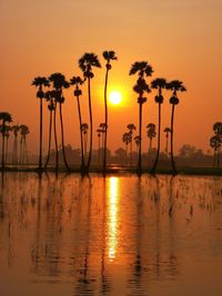 Silhouette palm trees against sky during sunset