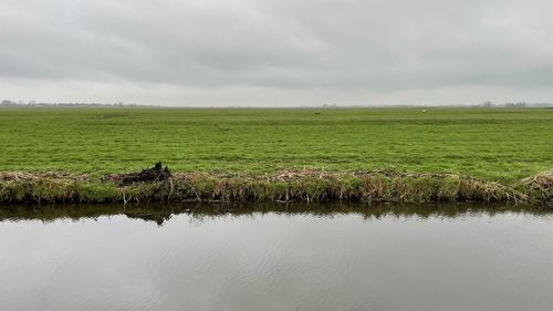 Scenic view of landscape against sky