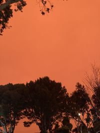 Low angle view of silhouette trees against orange sky