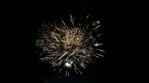 Low angle view of firework display against sky at night