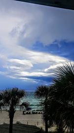 Low angle view of palm trees against blue sky