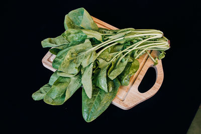 High angle view of spinach against black background
