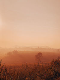 Scenic view of field against sky during sunset