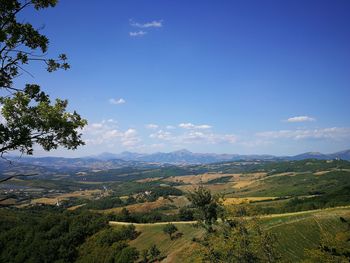 Scenic view of landscape against sky