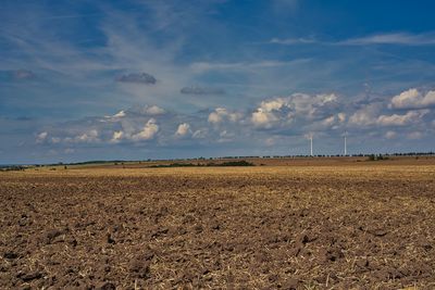 Scenic view of agricultural field against sky