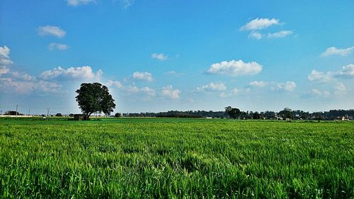 Scenic view of field against cloudy sky