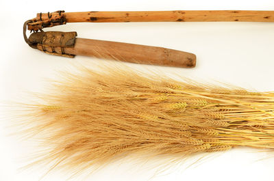 High angle view of wheat on table against white background