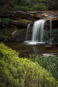 Scenic view of waterfall in forest