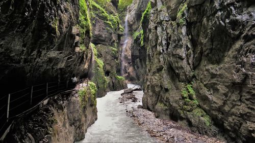 Panoramic view of rock formation amidst trees in forest