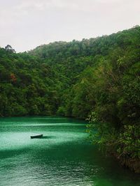 Scenic view of lake in forest against sky