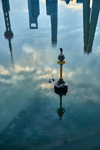 Reflection of shanghai towers in the water with birds