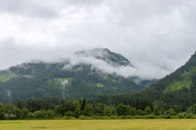Scenic view of forest against cloudy sky