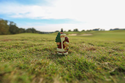 Close-up of santa claus figurine on grassy field