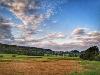 Scenic view of agricultural field against sky