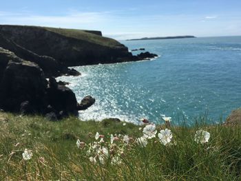 Scenic view of sea against sky