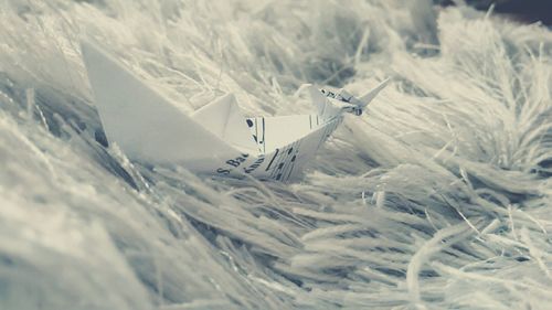 paper