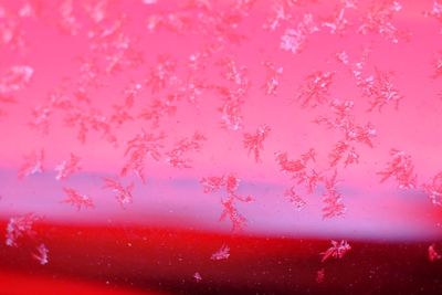 Close-up of pink water against sky