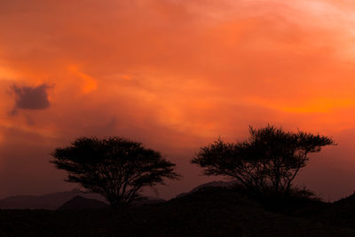 Silhouette trees against dramatic sky during sunset