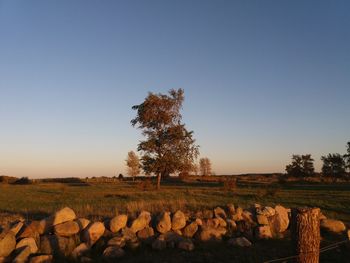 Stack of logs on field against clear sky