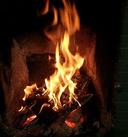 Close-up of bonfire at night