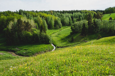 Scenic view of fields against sky