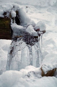 Close-up of frozen ice