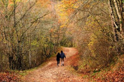 Rear view of man walking on footpath in forest