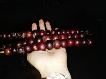 Close-up of hand holding berries