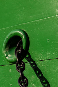 Close-up of chain on green leaf