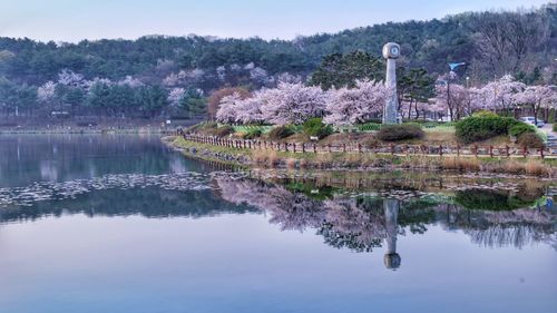 Reflection of trees in lake