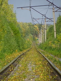 Railroad track amidst trees against sky