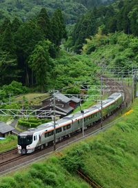 Limited express hida running at early summer - tokaido line sekigahara - kashiwabara, 2023, may