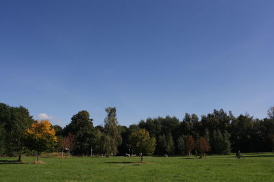 Trees on field against clear sky