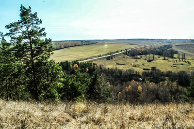 Scenic view of field against sky