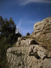 Low angle view of rock formation amidst trees against sky