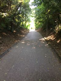 Road passing through trees