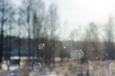 Close-up of bubbles against sky
