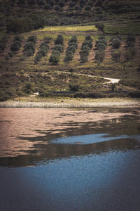High angle view of lake