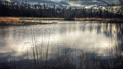 Scenic view of lake against sky