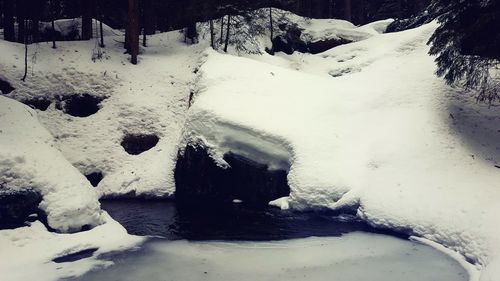 Snow covered landscape