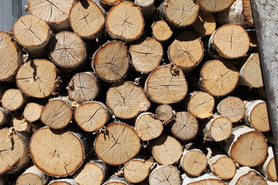 Full frame shot of logs in forest