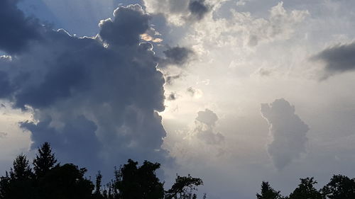 Low angle view of silhouette trees against sky