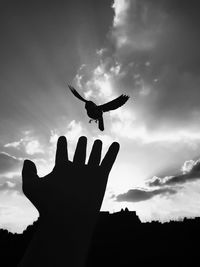 Silhouette hand reaching bird against sky